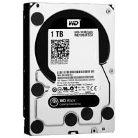 HDD / SSD: Western Digital Black Dispozitive