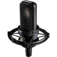 Microphones: Audio-Technica AT4040 Dispozitive